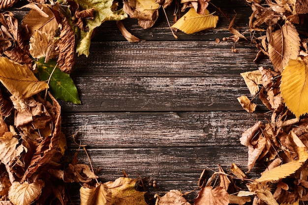 Frame background with autumn fall leaves on a dark wooden table