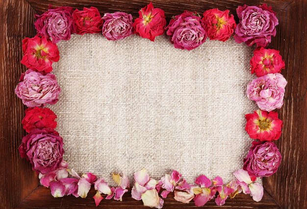 Frame of beautiful dry flowers with frame close up