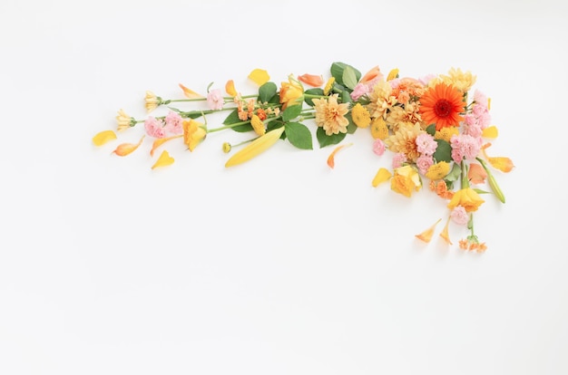 Frame of beautiful flowers on white background