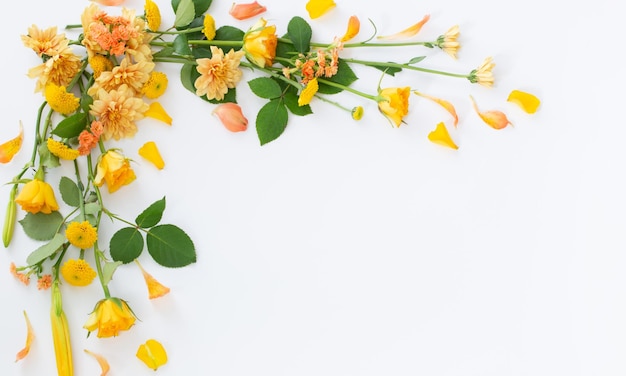 frame of beautiful flowers on white background