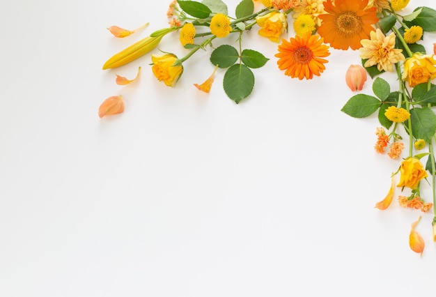 frame of beautiful flowers on white background