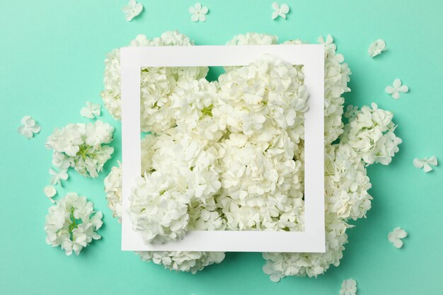 Photo frame and beautiful hydrangea flowers on mint background