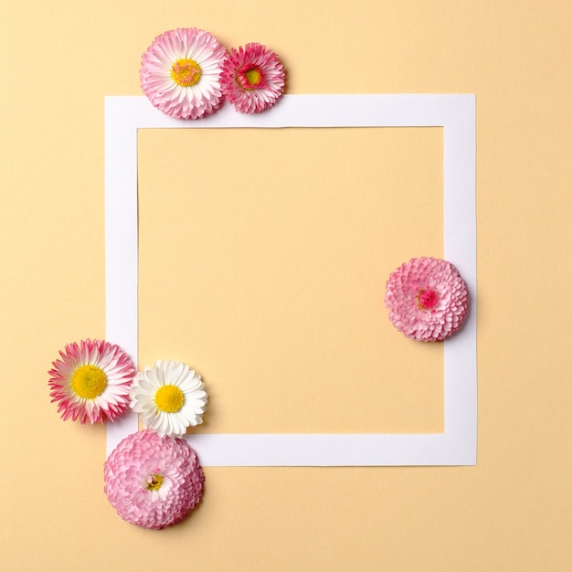 Frame border with daisy flowers on pastel yellow background.