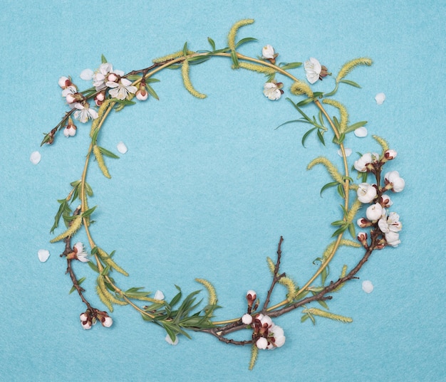 Frame of a branch of willow and apricots tree on a turquoise background