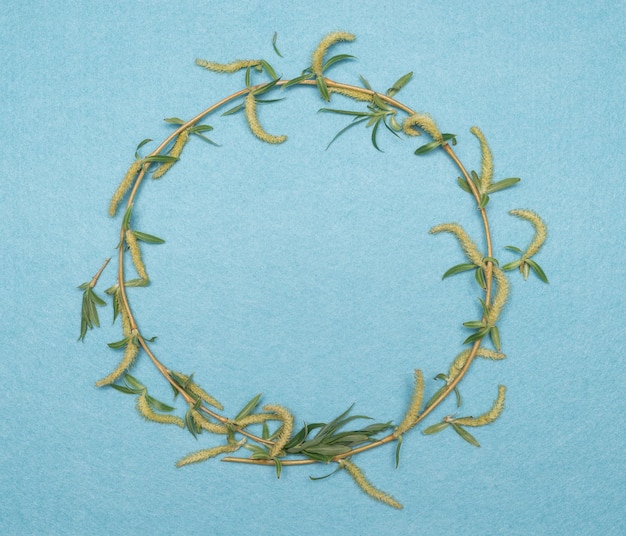 Frame of a branch of willow tree on a turquoise background of felt