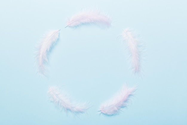 Frame of brightly colored dyed bird feathers on Colored background top view