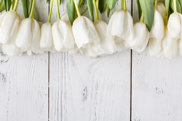 Photo frame for card with natural white tulips background