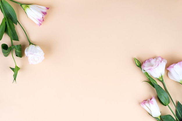 Frame composition with empty space in the center made of blooming pink eustoma, flat lay. Floral decorative corners on beige background.