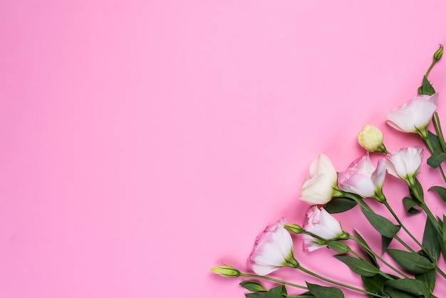 Composizione della cornice con spazio vuoto al centro in eustoma rosa in fiore, piatto disteso. angoli decorativi floreali su sfondo rosa.