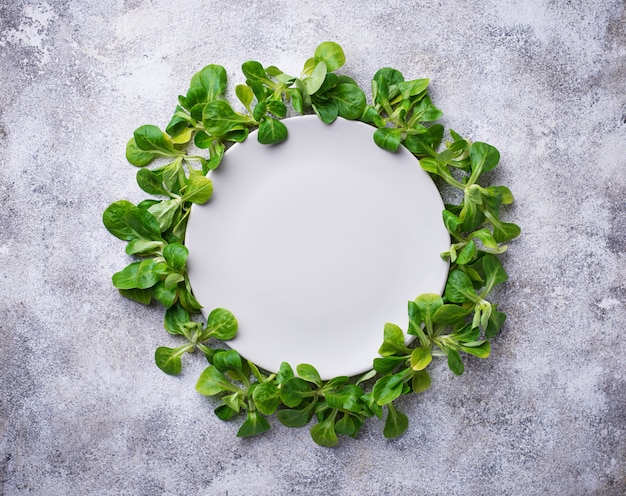 Photo a frame of corn lettuce around the plate.