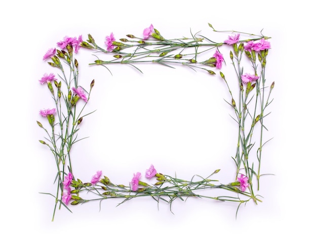 Photo frame of delicate flowers spring pink flowers on white background