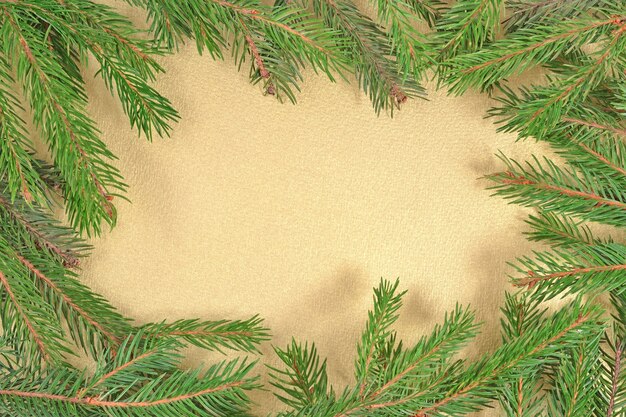 Frame of fir branches