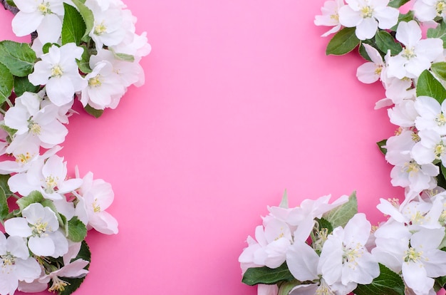 Frame of flowers on a pink