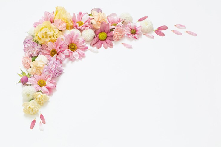 Frame of flowers on white background