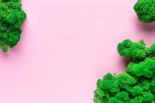 Frame from green stabilized moss on pink wall