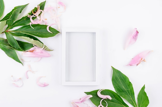 Photo frame from leaves and petals of pink peony