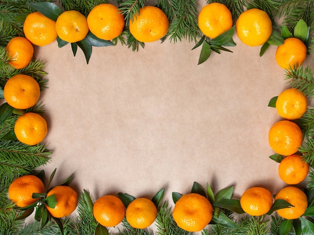 Frame from sprigs of spruce and tangerines on a white background. Mockup. New yaer frame.
