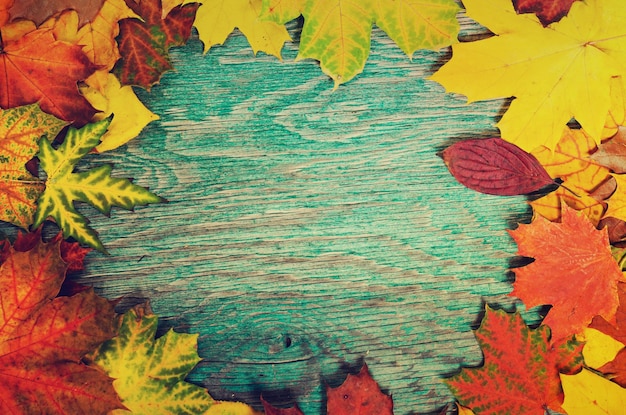 Рамка из ярких красочных осенних листьев на гранжевом деревянном голубом столе винтажного сезонного фона