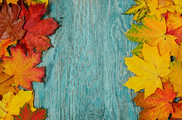 Photo frame from vivid colorful autumn leaves on the grunge wooden cyan desk vintage seasonal background