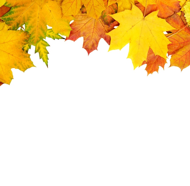 Рамка из ярких красочных осенних листьев, естественный сезонный фон