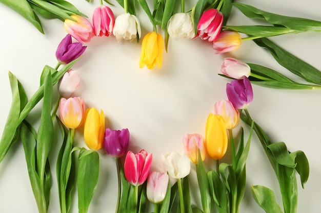 Frame gemaakt van prachtige tulpen op witte achtergrond