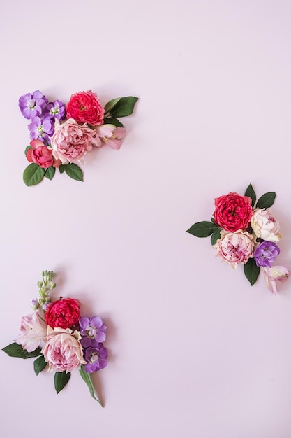 Frame gemaakt van roze bloemknoppen op roze achtergrond Flatlay bovenaanzicht Uitzicht van bovenaf Kopieer ruimtemodel