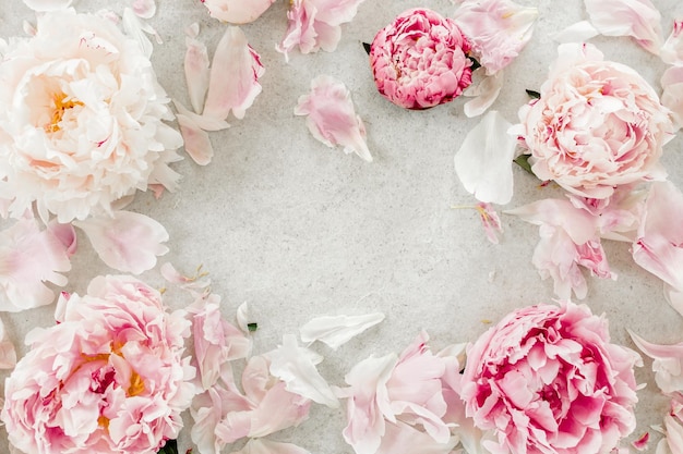 Frame gemaakt van roze pioenrozen bloem op grijze achtergrond plat lag bovenaanzicht frame van bloemen