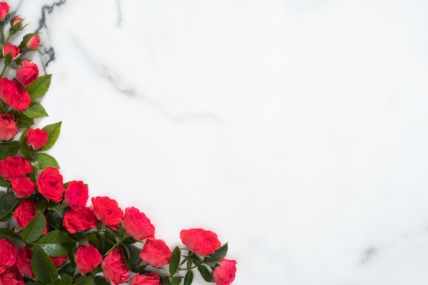 Frame gemaakt van rozen bloemen op marmeren achtergrond