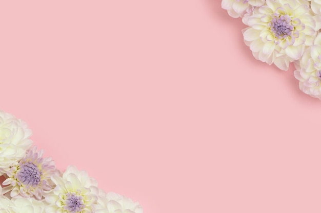 Frame gemaakt van witte dahlia bloemen Lente concept met copyspace