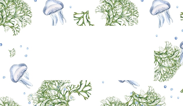 Frame of green sea plant and jellyfish watercolor illustration isolated on white Codium seaweed