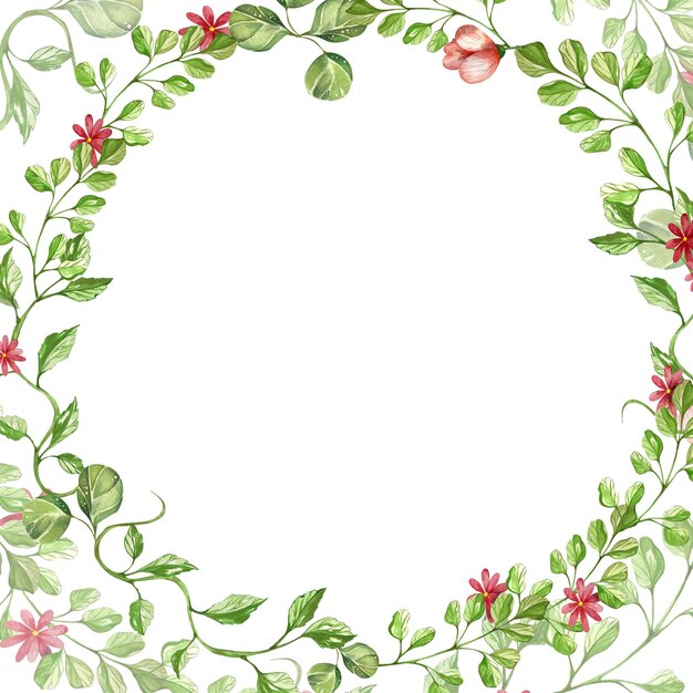 Photo the frame is a wreath of wild herbs and flowers watercolor illustration isolated