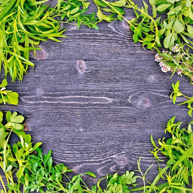 Рамка из листьев трав пажитника, руты, чабера, эстрагона, тимьяна на фоне черных деревянных досок