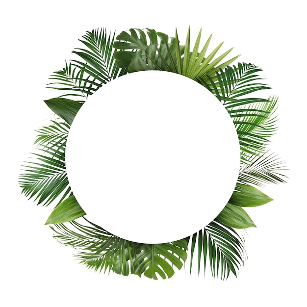 Photo frame made of beautiful lush tropical leaves on white background top view space for text