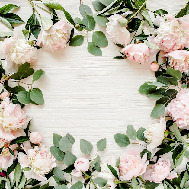 frame made of beautiful pink peonies on white background Flat lay top view Valentine's background Floral frame Frame of flowers Flowers texture