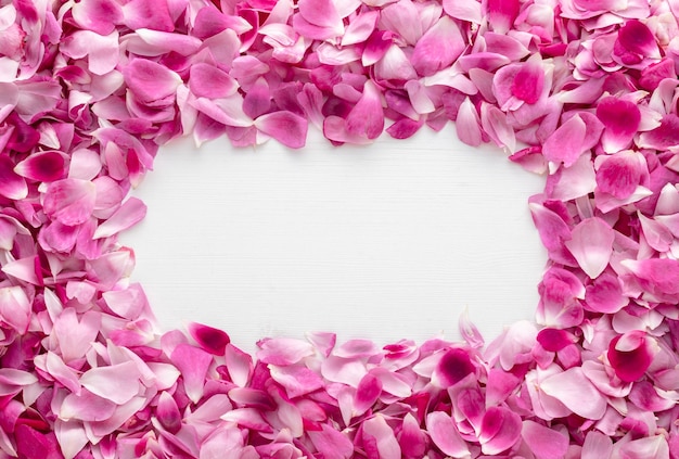 Frame made of beautiful pink rose petals on white wooden table