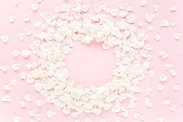 Photo frame made of beige petals roses on pink background flat lay top view valentines background