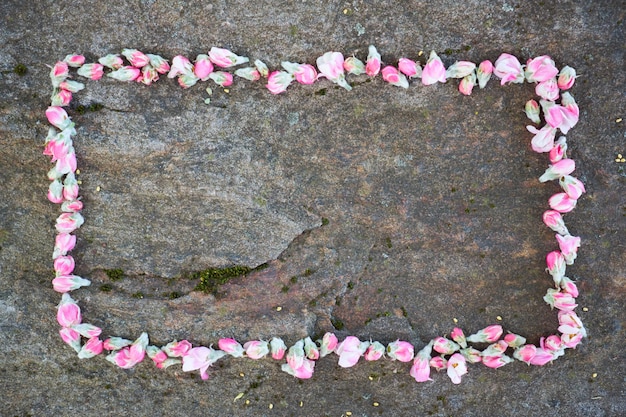 Frame made of blossoms on rocky background.