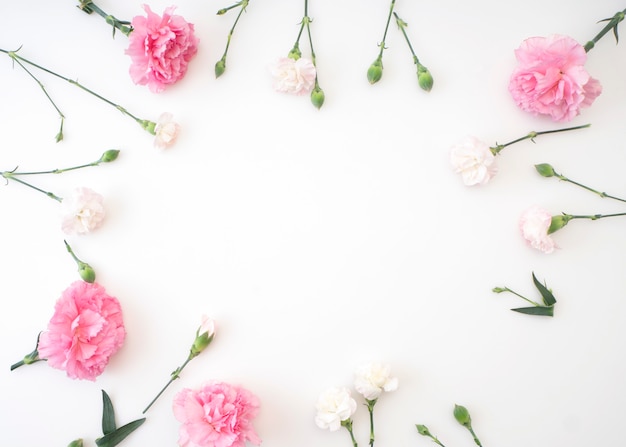 Frame made of carnation on a white background