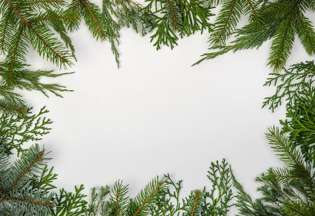 Frame made of christmas tree branches