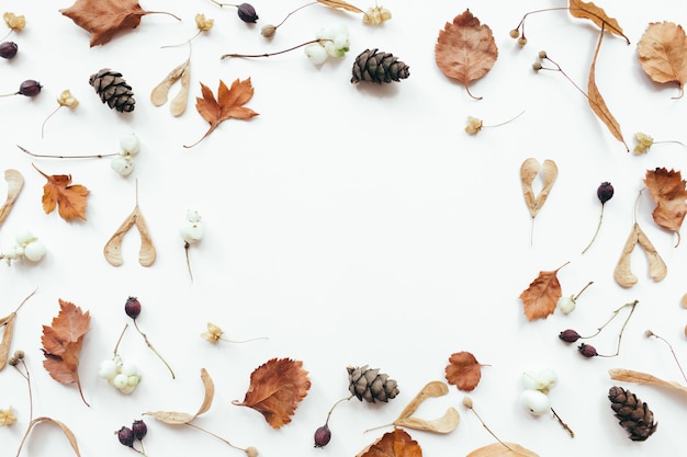 Frame made of dried autumn leaves on white background autumn fall concept flat lay top view copy