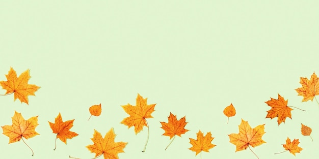 Frame made of dry autumn leaves on light green background with copy space  Autumn minimal concept