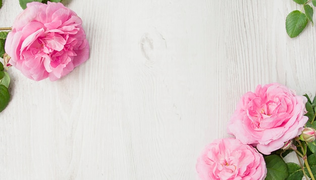 Frame made of flowers. Roses on a light background. Apartment lay, top view. Copy space.