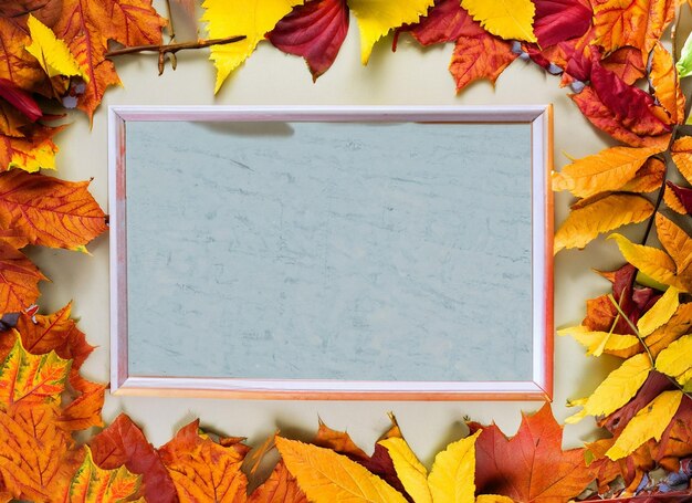 Frame made from autumn leaves