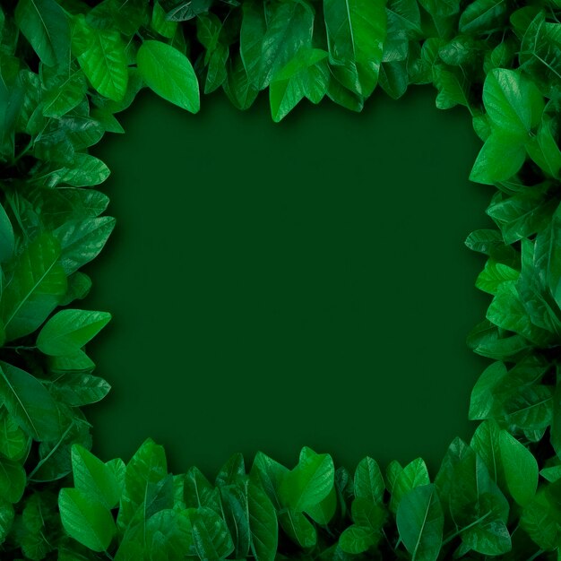 Frame made of leaves on a green background