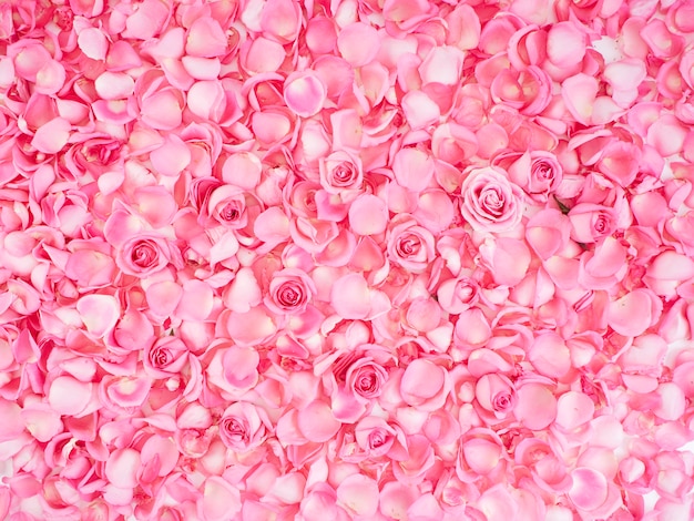 ピンクのバラの花びらで作られたフレーム