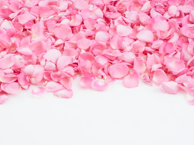 ピンクのバラの花びらで作られたフレーム