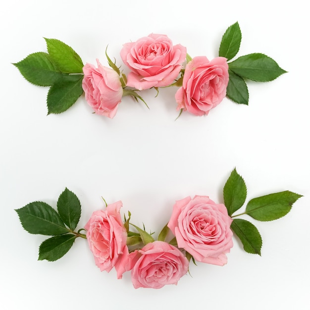 Frame made of pink roses isolated