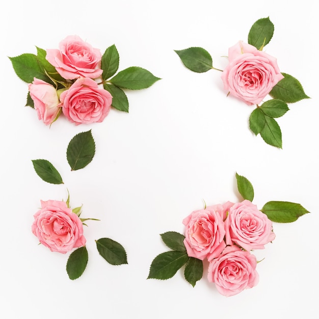 Frame made of pink roses isolated