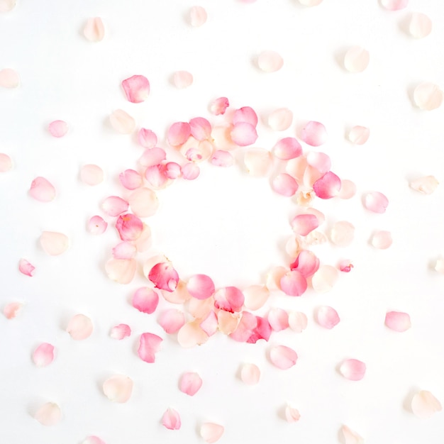 Frame made of pink roses petals isolated