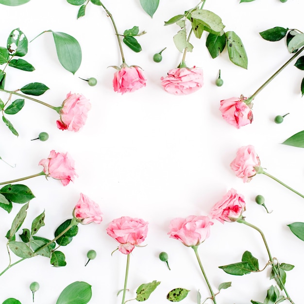 Frame made of pink roses on white